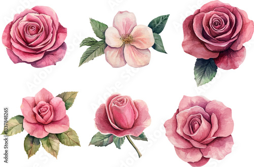 watercolor pink rose flower bouquet for valentines day	
