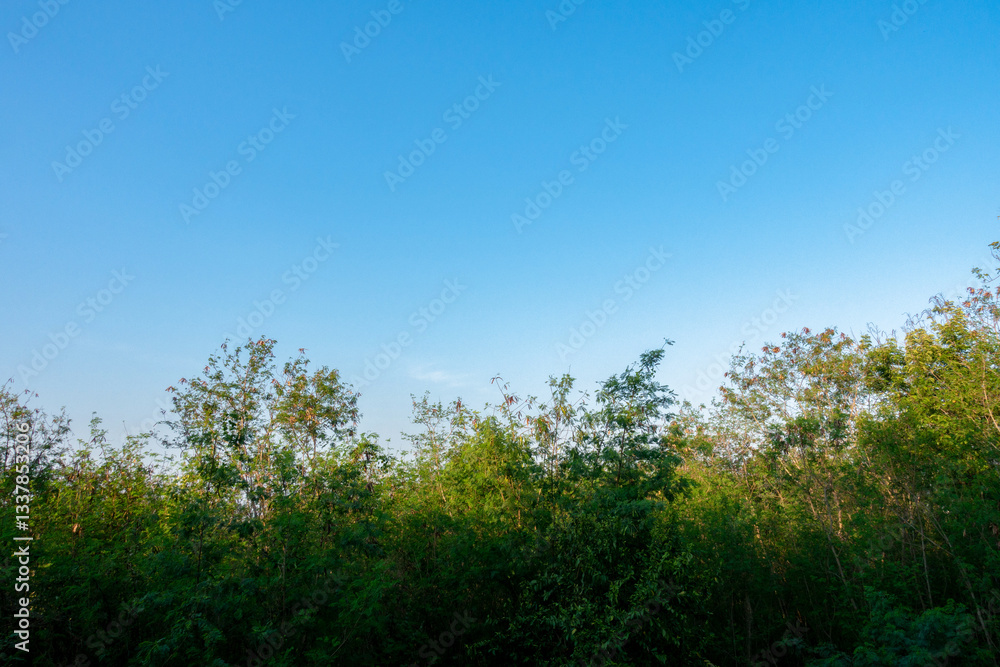 clear blue sky background,clouds with background.
clear blue sky background,clouds with background.
