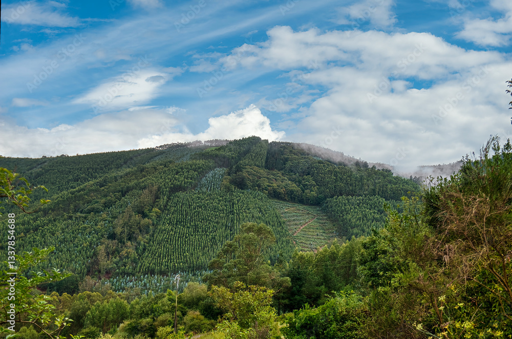 Pontenova is a parish and a Spanish town in the municipality of Puente Nuevo, in the province of Lugo, Galicia.