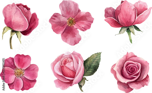 Wallpaper Mural pink rose flower Torontodigital.ca