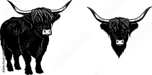 Illustration of a bull Highland cow silhouette vector
