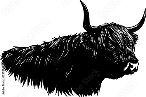 Illustration of a bull Highland cow silhouette vector
