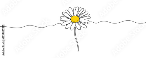 Daisy flower in continuous line art drawing style. Chamomile One line drawing art. Hand drawing Editable stroke Vector illustration