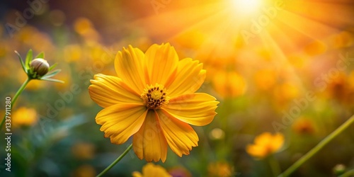 Vibrant Yellow Cosmos Flower Close-up: Sunny Ecology Wallpaper