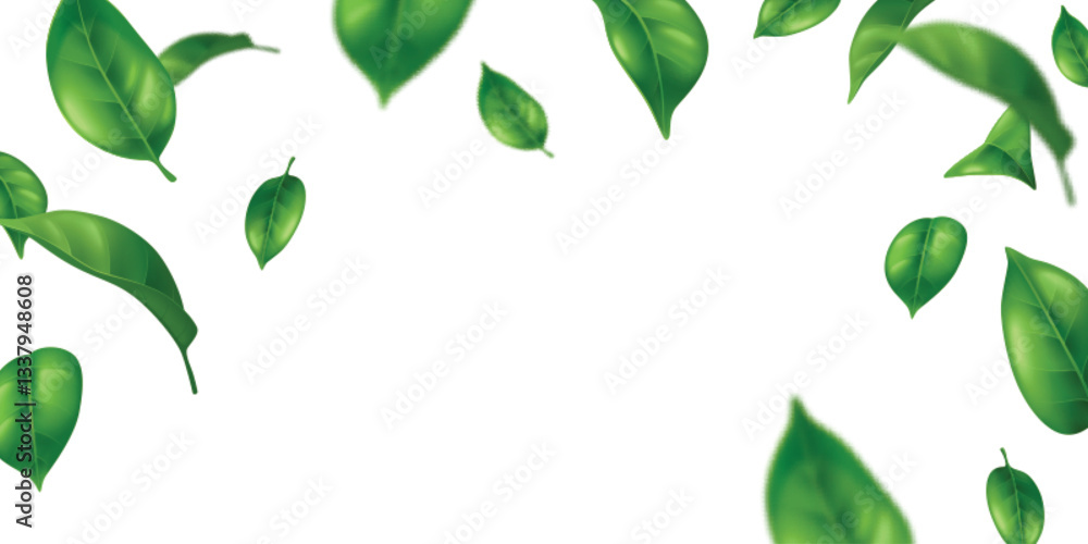 Naklejka premium Realistic flying green leaves frame - fresh foliage border with detailed single leaf shapes, edges and veins. Natural spring or summer decorative elements for eco friendly design or greeting cards.