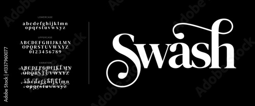 Swash Elegant Font Uppercase Lowercase And Number. Classic Lettering Minimal Fashion Designs. Typography modern serif fonts regular decorative vintage concept. vector illustration