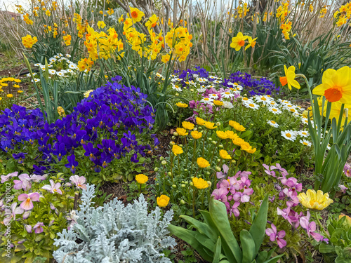 flower garden