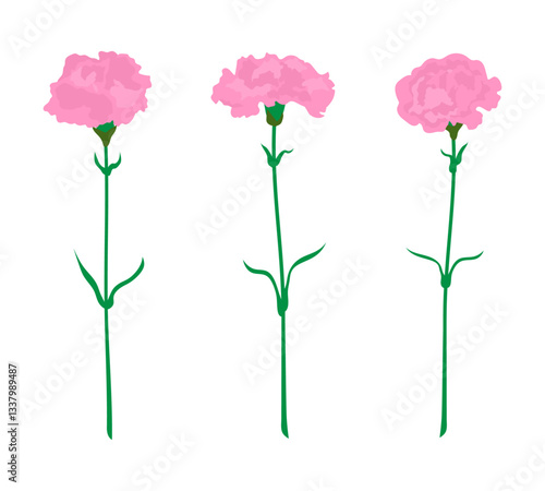 Mothers Day-1-2　母の日のカーネーション。花のイラスト。綺麗なカーネーションのあしらい。花の挿絵。