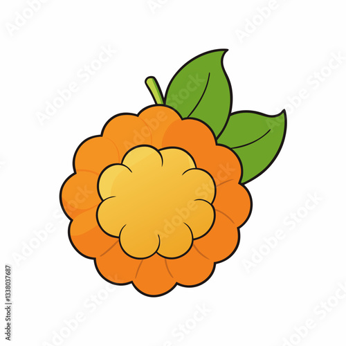vector illustration of a cloudberry