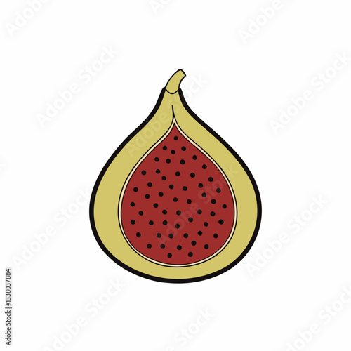 vector illustration of a fig fruit