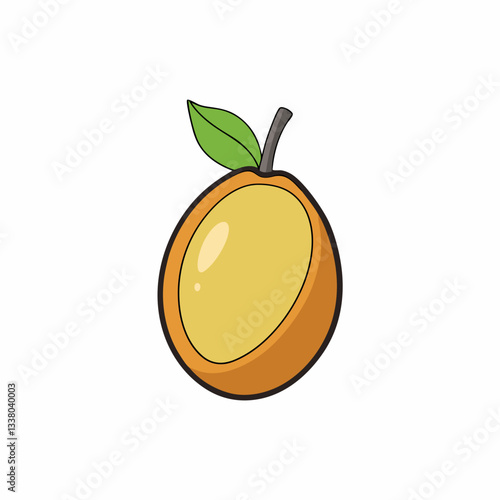 sapodilla fruit on white background