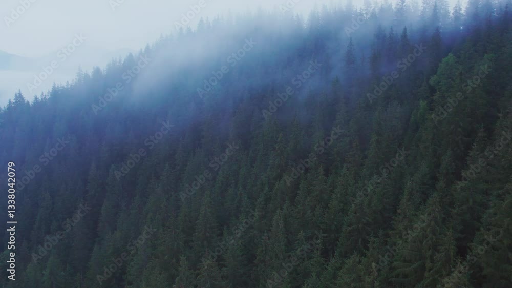 Dense forest blanketed in thick mist, with towering evergreen trees partially obscured by fog. Mist creates an ethereal, mysterious atmosphere, while distant mountains barely emerge through haze. Dense forest blanketed in thick mist, with towering evergreen trees partially obscured by fog. Mist creates an ethereal, mysterious atmosphere, while distant mountains barely emerge through haze.