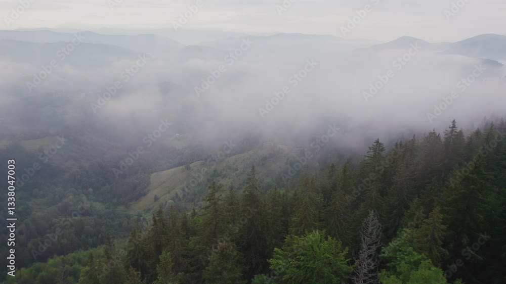 Aerial view of dense forest blanketed in thick mist, with towering evergreen trees partially obscured by fog. Mist creates mysterious atmosphere, while distant mountains barely emerge through haze. Aerial view of dense forest blanketed in thick mist, with towering evergreen trees partially obscured by fog. Mist creates mysterious atmosphere, while distant mountains barely emerge through haze.