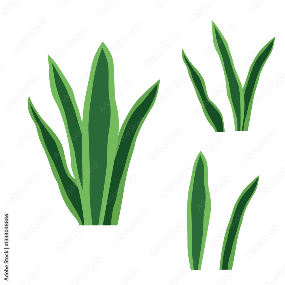 Obraz premium Elements of Green Fresh Tropical Leaves Foliage Grass Plant in the Park Garden