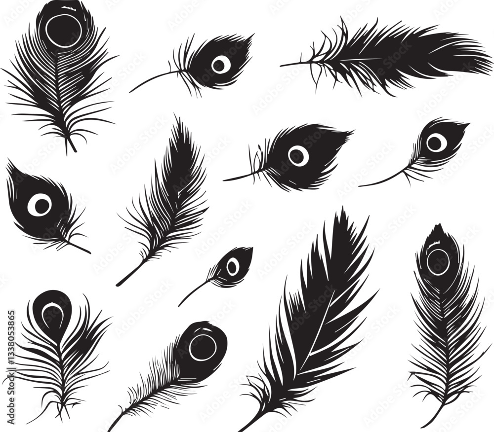 Obraz premium Peacock feather silhouette vector on white background