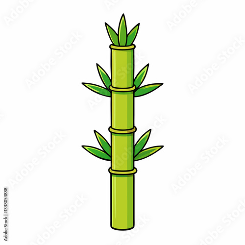 bamboo isolated on white background