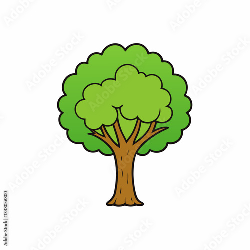 london  plane tree isolated on white