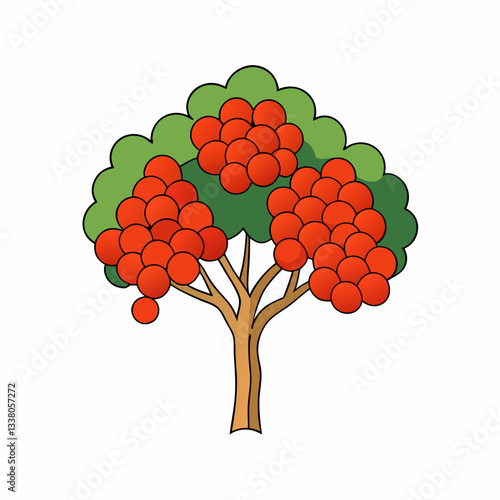 vector illustration of a mountain ash tree