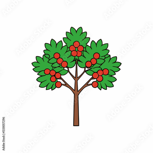 vector illustration of a mountain ash tree