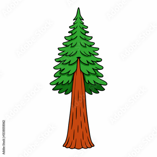 redwood tree isolated on white