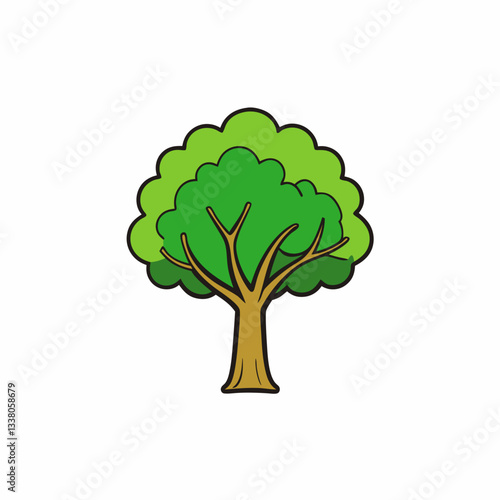 sycamore tree isolated on white