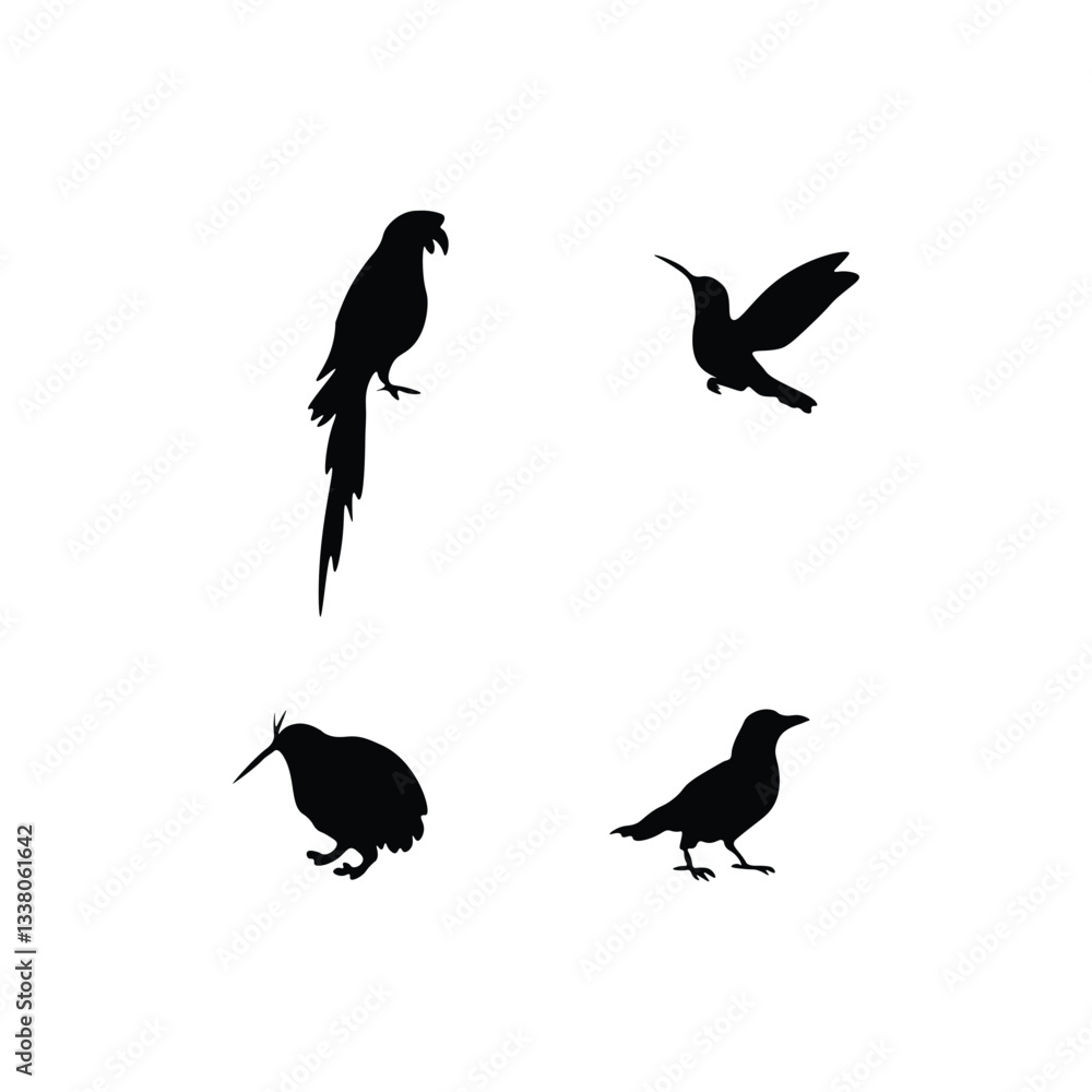 Fototapeta premium Bird Silhouette