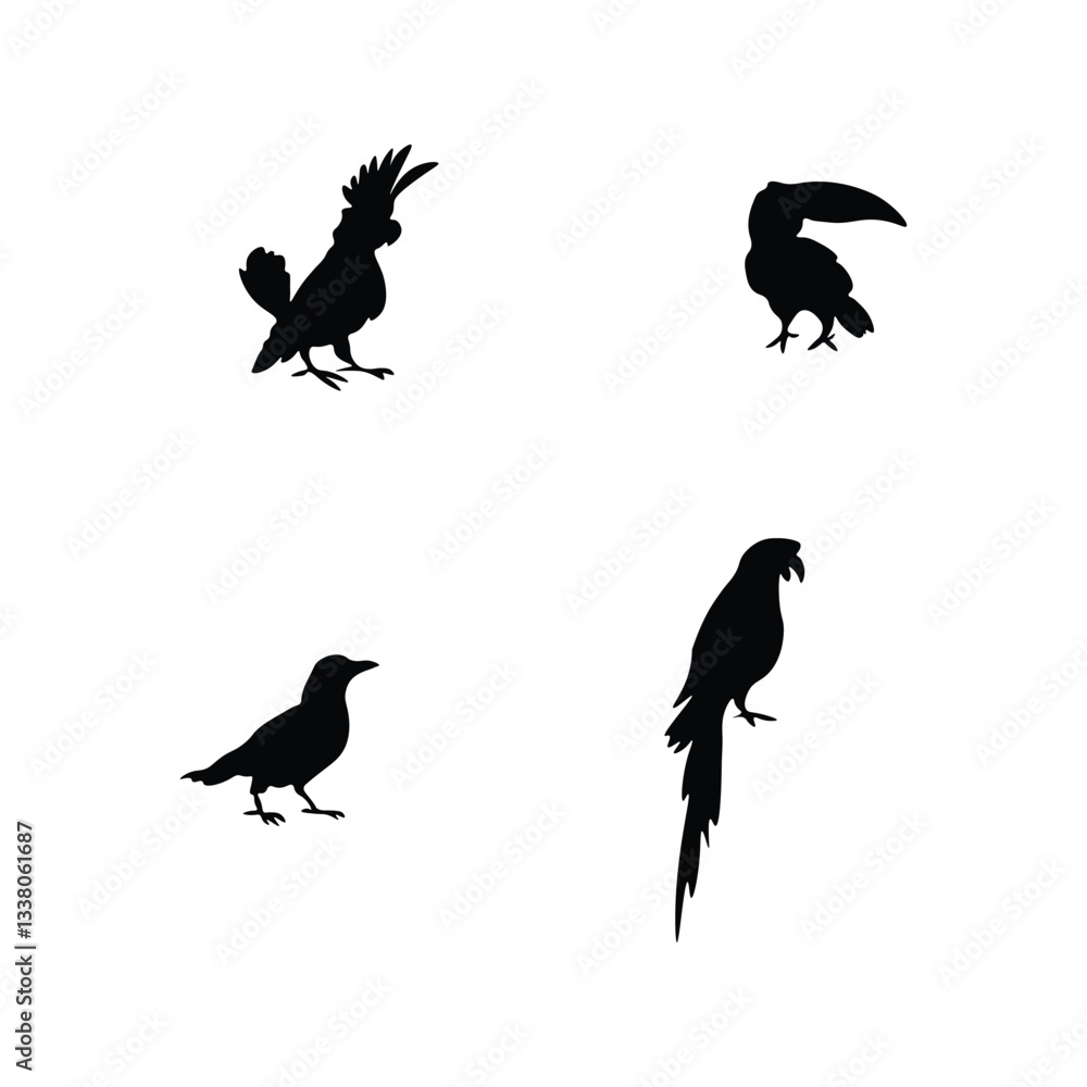 Bird Silhouette Bird Silhouette