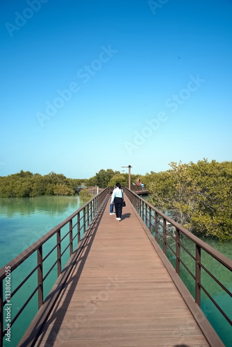 Abu Dhabi, United Arab Emirates – March 02, 2025, the view of the Jubail Mangrove Parks the first self-contained educational, nature and leisure destination