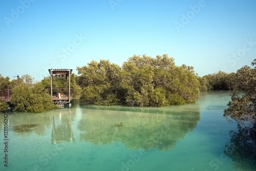 Abu Dhabi, United Arab Emirates – March 02, 2025, the view of the Jubail Mangrove Parks the first self-contained educational, nature and leisure destination
