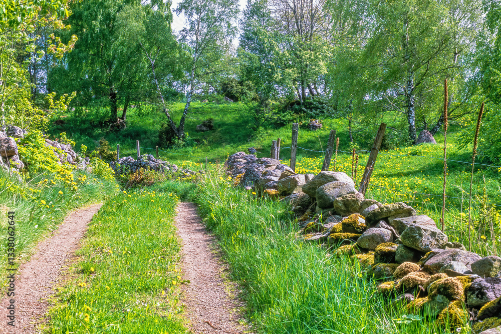 Dirt road with grass shoulder and stone walls in a rural summer landscape
