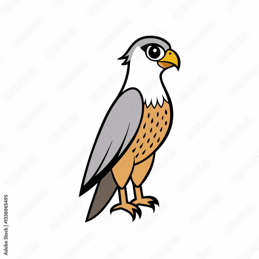 falcon cartoon isolated on white falcon cartoon isolated on white