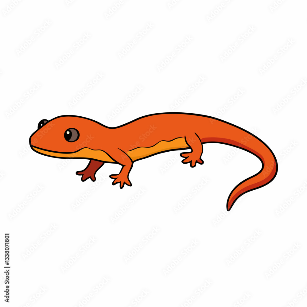 Fototapeta premium salamander on a white background