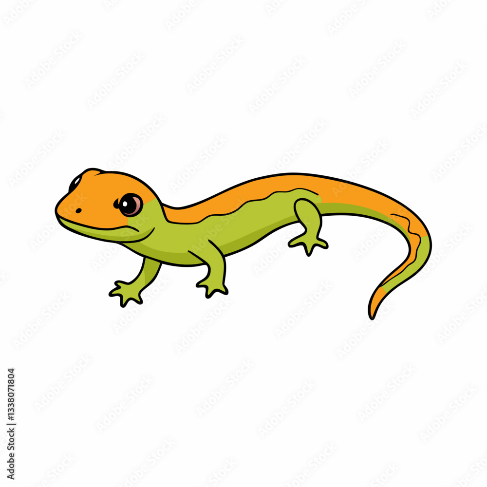 Fototapeta premium salamander on a white background