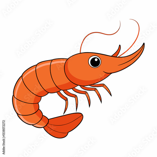 vector illustration of shrimp
