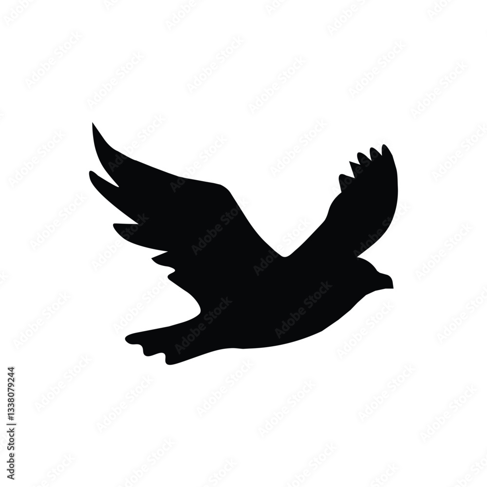 Obraz premium bird in the sky