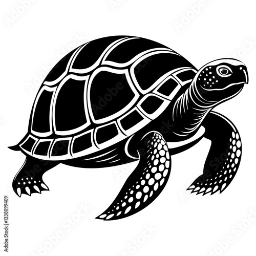 Stylized turtle illustration with detailed shell design