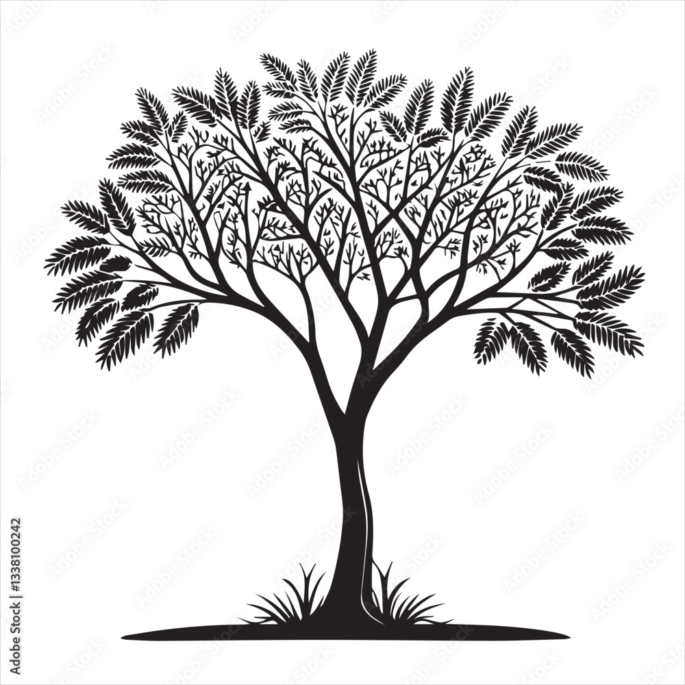 Obraz premium tree silhouette vector