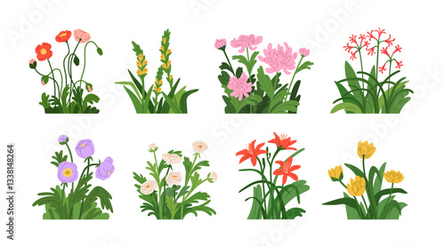 Floral blossoms set. Beautiful spring flowers, summer blooming plants with leaves. Natural garden decoration, poppies, lilies, chrysanthemum. Flat vector illustration isolated on white background