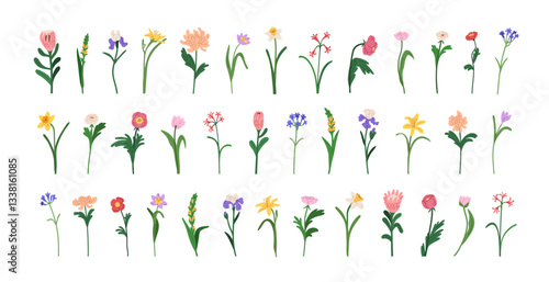 Floral branches set. Flower blossoms, stem and leaves. Spring and summer garden design elements, blooming plants for decoration. Botanical flat vector illustrations isolated on white background