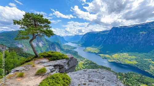 Lone Tree on Mountain Overlooking Serene Lake Valley