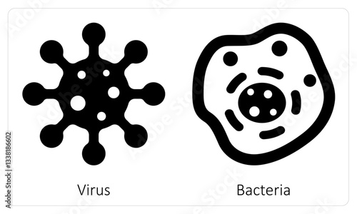 Virus and Bacteria