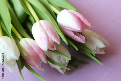 bouquet of pink tulips. White and pink tulips. Layout for a greeting card. Blank for a business card. Bouquet of spring flowers. Greeting card