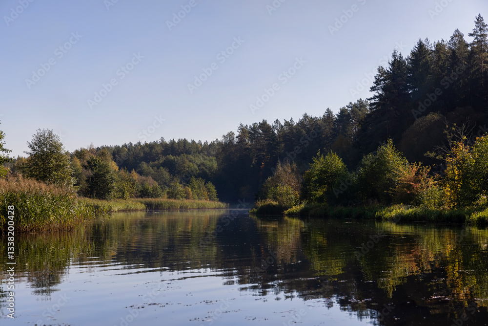 mixed forest and river in sunny weather in early August mixed forest and river in sunny weather in early August