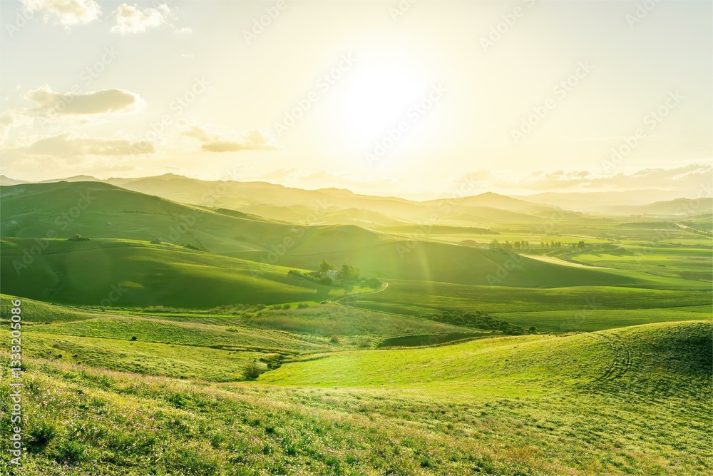 spring or summer nature farm landscape with green salad grassland hills and beautiful cloudy ske on baclground. Farming landscape in spring or summer field spring or summer nature farm landscape with green salad grassland hills and beautiful cloudy ske on baclground. Farming landscape in spring or summer field