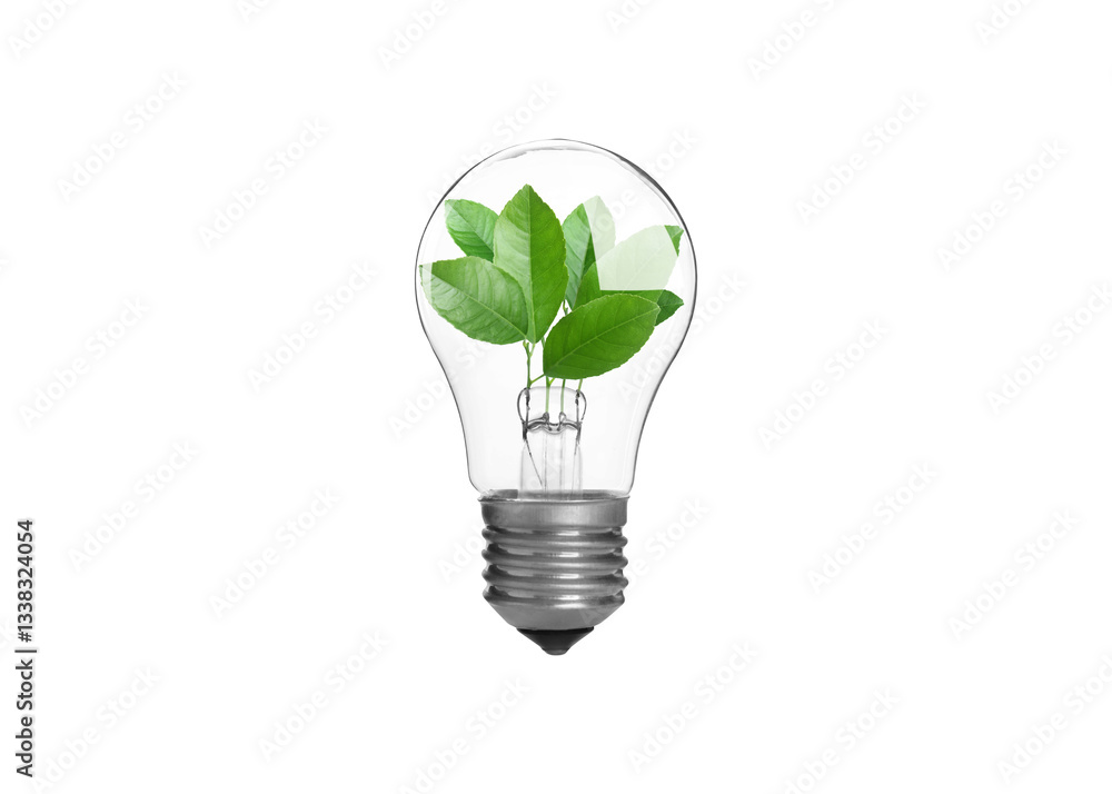 Light bulb with fresh leaves inside in air on white background. Concepts of eco-friendly environment and saving energy Light bulb with fresh leaves inside in air on white background. Concepts of eco-friendly environment and saving energy