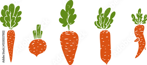 Vector illustration of carrot in cartoon flat style different shapes. Set of fresh vegetables plants for healthy food. Collection design elements for child textile print, stamp, kids education book.