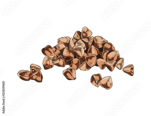 Buckwheat seeds vector sketch, hand drawn buckwheat groats pile, cereal crops, agriculture plant harvest, brown grains