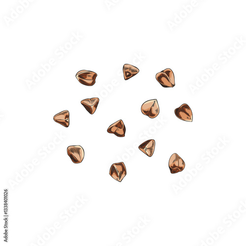 Vector sketch in watercolor of cleaned and processed buckwheat grains on isolated background.
