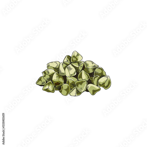 Buckwheat seeds heap, green grains vector sketch, hand drawn buckwheat groats, raw cereal crops, agricultural harvest
