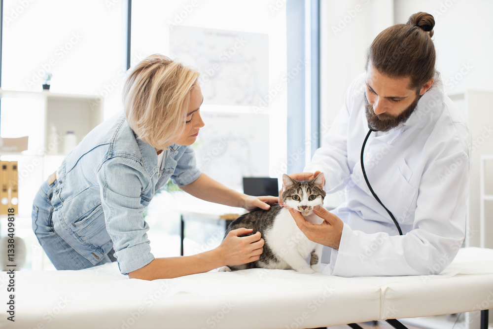 Obraz premium Male veterinarian using stethoscope to check health of tabby cat, female owner assisting, in modern clinic. Image showcasing healthcare, animals, compassion, and care.